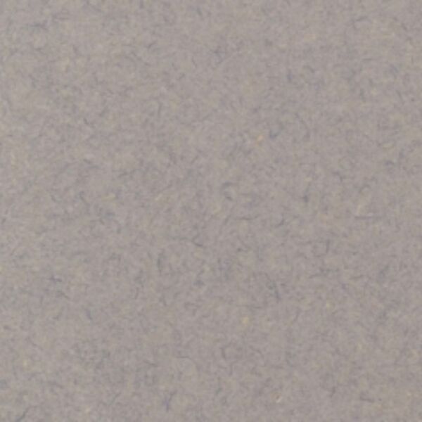 CG23000023 GRIS-CLAIR.600.jpg